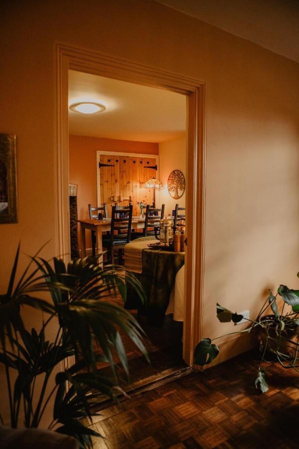 Holwell Holistic Retreat Bed & Breakfast Barnstaple Exterior foto
